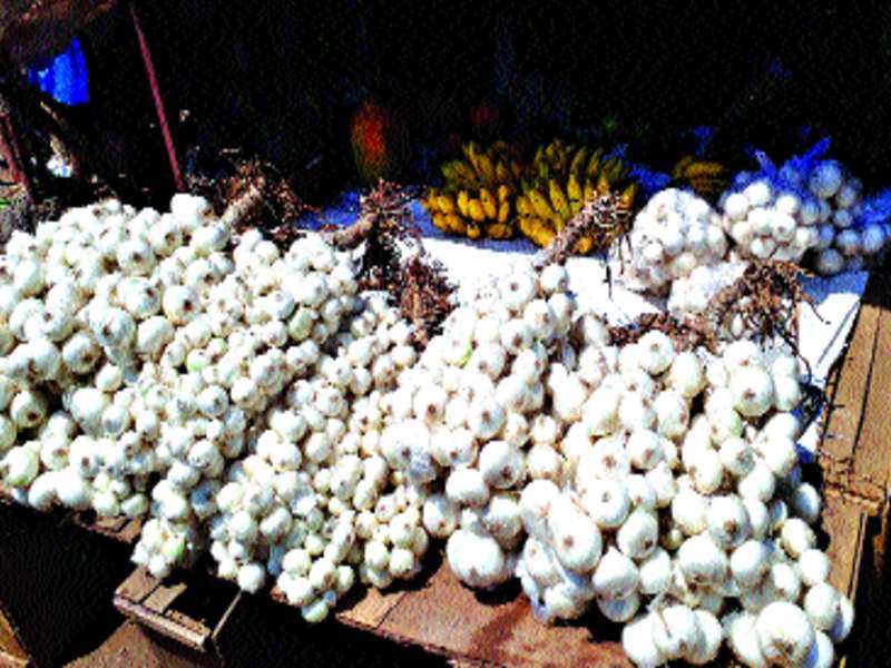 Vasai's white onion is available in Mumbai market, a pair of 140 to 170 rupees | वसईचा पांढरा कांदा मुंबई बाजारी, एक जुडीला १४० ते १७० रुपये भाव