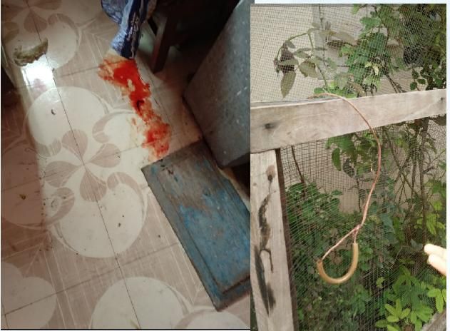 Attempt to kill mother and dauther in Nagpur | नागपुरात मायलेकीची हत्या करण्याचा प्रयत्न