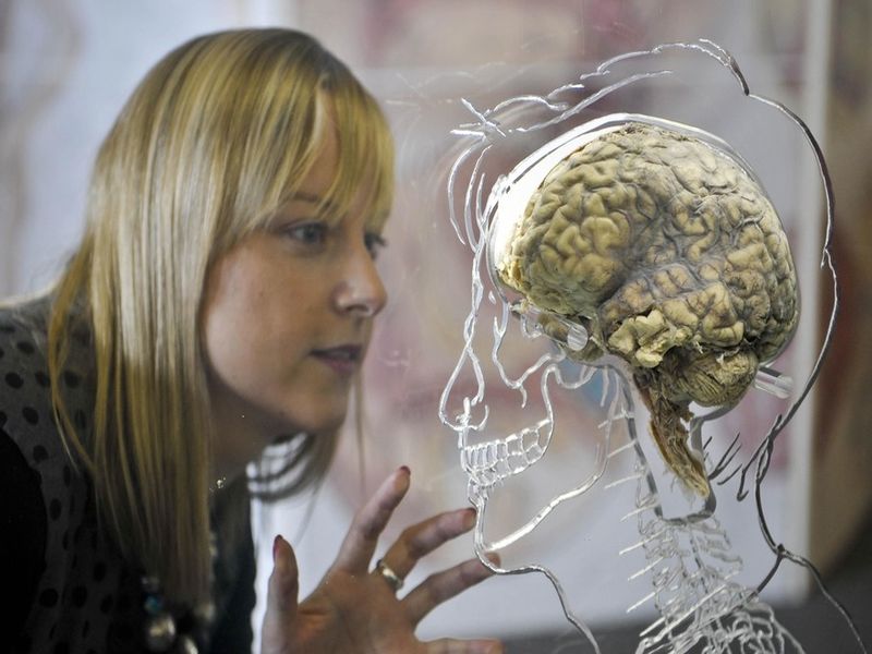 Women's brain is three years younger than their men claims a study | समवयस्क पुरूषांपेक्षा जास्त तल्लख असते महिलांची बुद्धी - रिसर्च