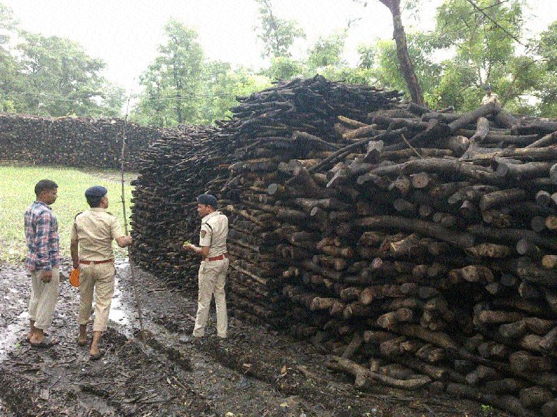  40 lakh unaccounted wood stocks seized | चाळीस लाखांचा विनापरवाना लाकूडसाठा जप्त