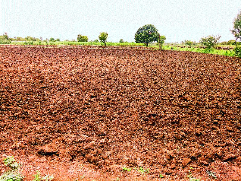  Sowing of Kharif sowing in Indapur, leaving only 10% of Kharif | इंदापुरात खरिपाच्या पेरण्या खोळंबल्या, खरिपाची १० टक्केच पेरणी