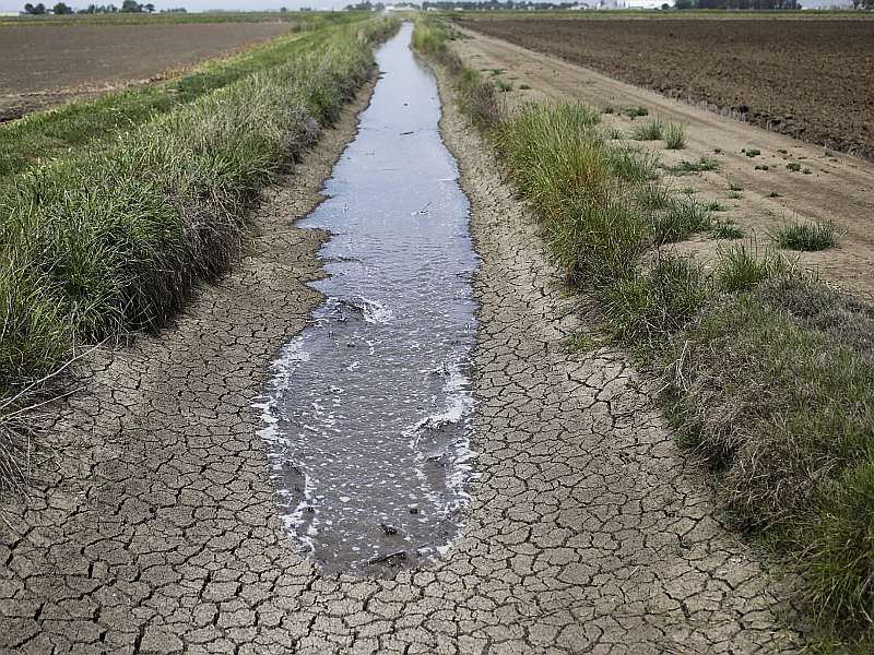Proposal for privatization of agricultural water sharing! | शेतीच्या पाणीवाटपाच्या खासगीकरणाचा प्रस्ताव! विहिरींवर लागणार पाणीपट्टी?
