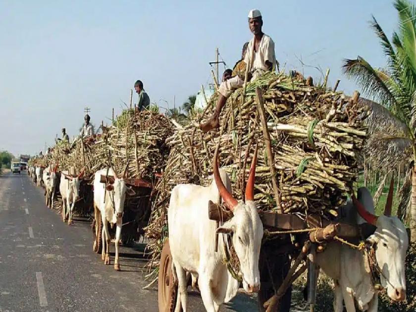 First in Solapur state by sieving 61 lakh metric tons of sugarcane | ६१ लाख मेट्रिक टन ऊस गाळप करून सोलापूर राज्यात पहिला