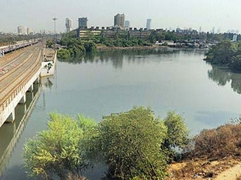 World River Day Special, Mumbai's four rivers will be pollution free | जागतिक नदी दिन विशेष, मुंबईतील चार नद्या होणार प्रदूषणमुक्त