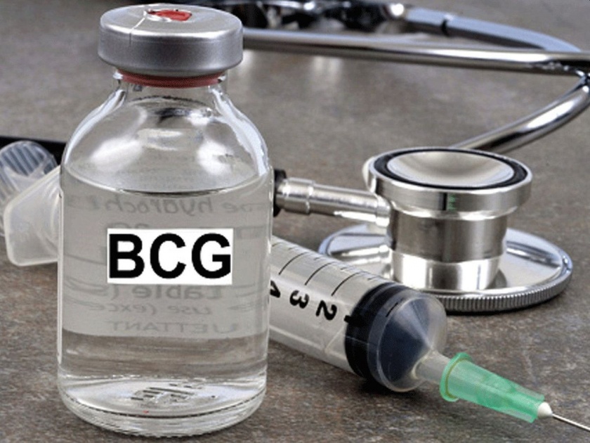 CoronaVirus BCG vaccine will save India from Corona; new research hrb | CoronaVirus कोरोनाविरोधातील लढाईत बीसीजी लस बनणार भारतीयांची 'ढाल'; १९४९ पासून लसीकरण