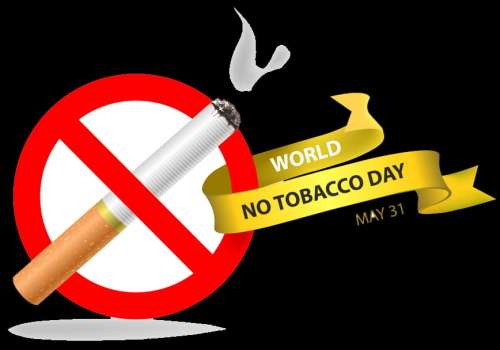 Tobacco and gutkha eat 50 percent of the people who are victims of cancer | तंबाखू-गुटखा खाणारे ५० टक्के लोक ठरतात कर्करोगाचे बळी 