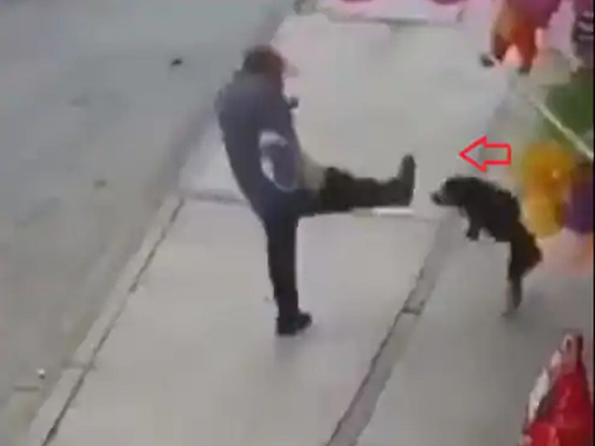 Man hit leg dog then what happened with man see viral video | कुत्र्याला लाथ मारायला गेला अन् असं काही करून बसला; पाहा व्हायरल व्हिडीओ