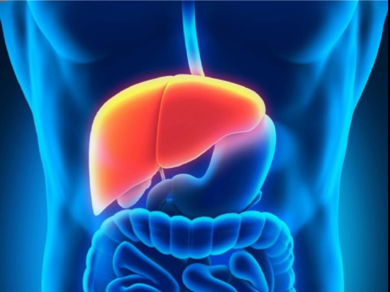 Successful fight against rare liver disease | दुर्मिळ यकृत आजाराशी चिमुकलीची यशस्वी झुंज
