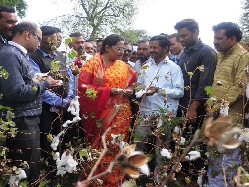 Yashomati Thakur reached farmers farm, promising to compensation | यशोमती ठाकूर पोहोचल्या शेतकऱ्यांच्या बांधावर, नुकसान भरपाई दिले आश्वासन 