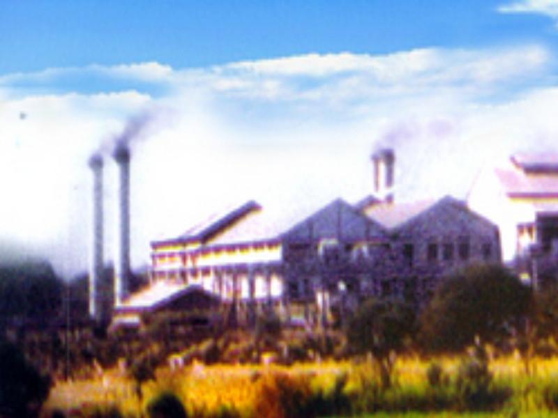 The land of Yashwant sugar factory is 2.5 crore | यशवंत साखर कारखान्याची जमीन अडीच कोटींची