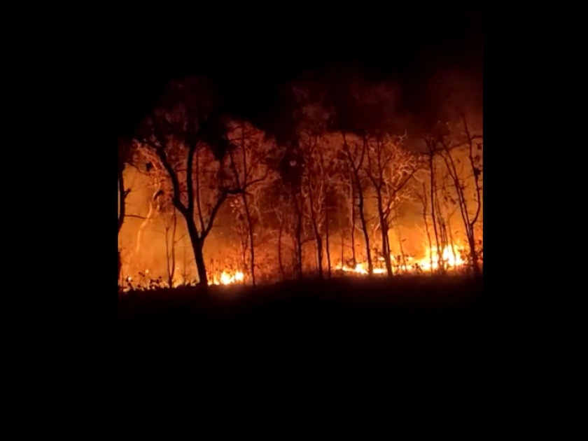 fire in Karalgaon forest of Yavatmal | यवतमाळच्या करळगाव जंगलाला भीषण आग