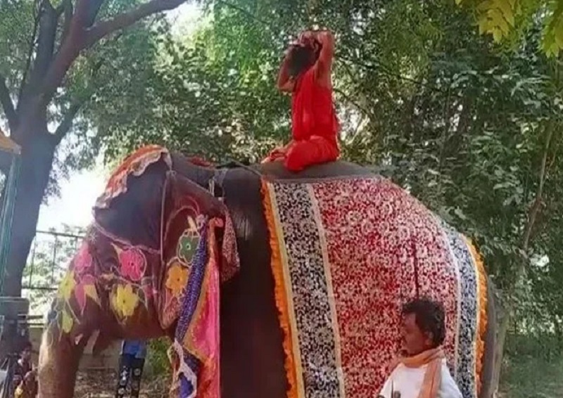 yoga guru baba ramdev fall from elephant during yog? | हत्तीवर बसून योग करताना बाबा रामदेवांचा तोल गेला अन्..., व्हिडीओ व्हायरल 