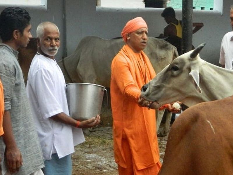 Yogi angry with the death of cattle, suspension of 8 officials in Uttar pradesh | गोवंश प्राण्यांच्या मृत्युने CM योगी नाराज, 8 अधिकाऱ्यांचे निलंबन