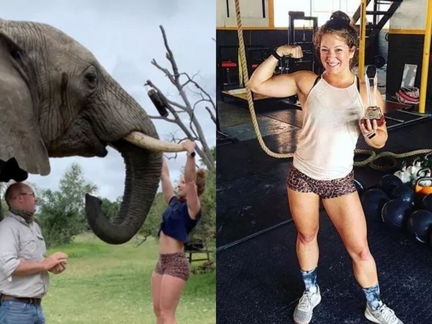 Harmeful news woman accused of doing pull ups using elephant | लाजिरवाणे! हत्तीच्या दातांना लटकून मारत होती पुशअप्स; सोशल मीडियावर फोटो झाला व्हायरल