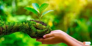 world environment day: time for nature- let's grow something. | world enviornment day : प्रश्न एवढाच आहे की, आपण मातीत हात घालणार का?