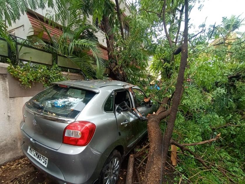 21 incidents of tree fall due to gusty winds in Pune city on Thursday | Pune: गुरुवारी पुणे शहरात सुटलेल्या सोसाट्याच्या वाऱ्यामुळे २१ ठिकाणी झाडपडीच्या घटना