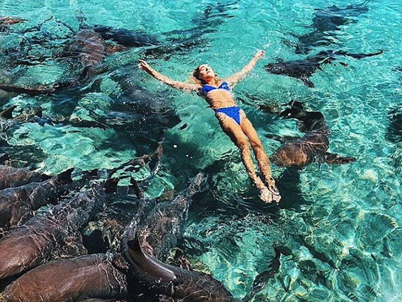 California instagram model Katarina Elle Zarutskie shark attack in bahama | Shocking Photos: पाण्यात शार्कसोबत फोटोशूट करत होती मॉडेल, पाठी मागून शार्क आली आणि...