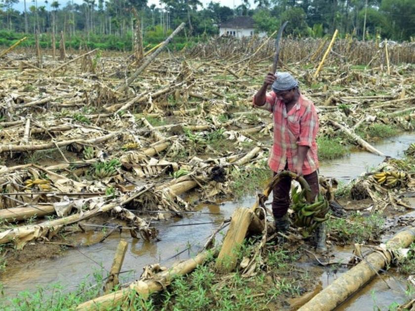 Gram sevaks, Talathi, agricultural assistants on indefinite strike will inform the government about the loss of crops due to rain | बेमुदत संपातील ग्रामसेवक, तलाठी, कृषी सहायक शेतीच्या नुकसानीची माहिती शासनाला देणार