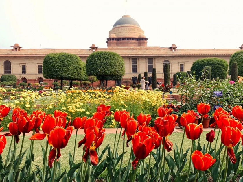 Mughal Garden Name Change: Mughal Garden in Rashtrapati Bhavan has been renamed as Amrit Udyan; Will be open from 31st January... | Mughal Garden Name Change: राष्ट्रपती भवनातील मुघल गार्डनचे नाव बदलले; 31 जानेवारीपासून खुले होणार...