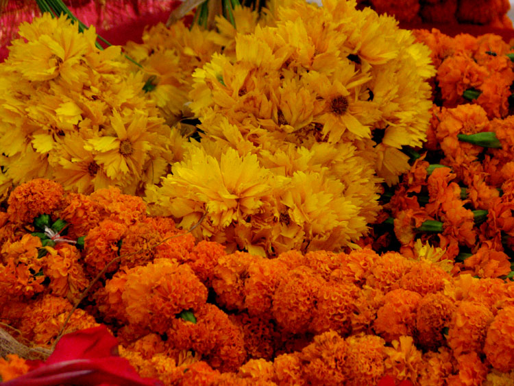 Ganeshotsav's excitement everywhere, Flower rates hike in Panji | गणेशोत्सवाचा उत्साह शिगेला, पणजीत ‘फुलांना फुल्ल मार्केट’