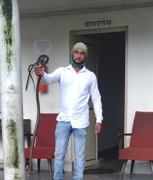 The snake in to the Chief Minister's bungalow in Nagpur | मुख्यमंत्र्यांच्या नागपुरातील बंगल्यात निघाला साप