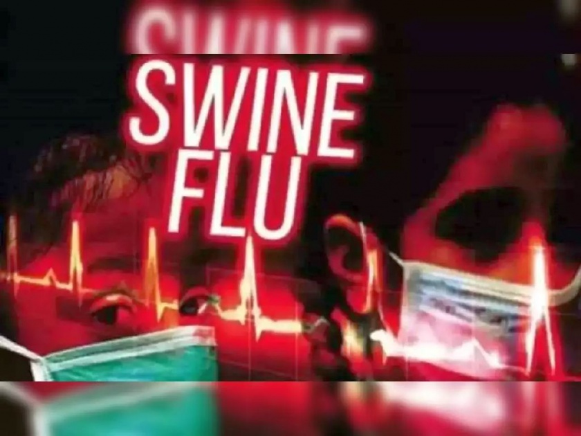 Swine flu claims two more victims, Six deaths reported | वय ५०; सर्दी-पडसेकडे दुर्लक्ष नको, असू शकतो 'स्वाईन फ्लू'; दोन रुग्णांचा मृत्यू