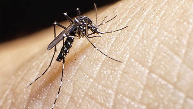 Maharashtra's first 'Zika' patient found in Pune; 50-year-old women infected with Zika virus | चिंताजनक! पुण्यात आढळला महाराष्ट्रातील पहिला 'झिका'चा रुग्ण; ५० वर्षाच्या महिलेला झिका विषाणूची बाधा