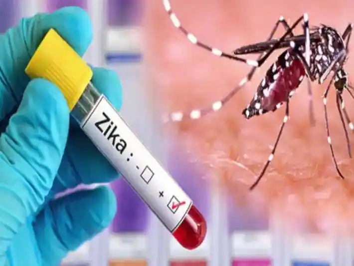 Zika virus detected in Karnataka, health department alert, public awareness campaign started | कर्नाटकात आढळला झिका व्हायरस, आरोग्य विभागाचा अलर्ट, जनजागृती मोहीम सुरू