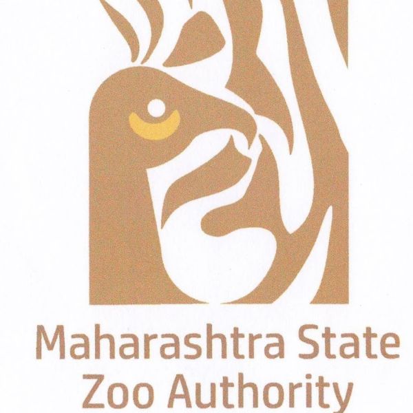 Maharashtra state Zoo Authority becoming White Elephant | महाराष्ट्र प्राणिसंग्रहालय प्राधिकरण ठरतोय पांढरा हत्ती