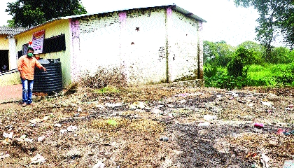 Dung Ukirda next to the school, Z.P. Avoid hitting school | शाळेच्या बाजूला शेणाचा उकिरडा, जि.प. शाळेला ठोकले टाळे