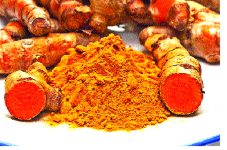 विसराळूपणा वाढला- अनेक गोष्टी विसरून जाता? डॉक्टर सांगतात ६ पदार्थ खा- बुद्धी होईल तेज