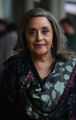 Ila Arun: Every woman in India is an 'Aarya' - www.lokmattimes.com