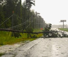 Thousands without power after severe storms in Victoria