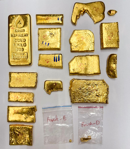 Why the UN Should Declare February 11 as International An...