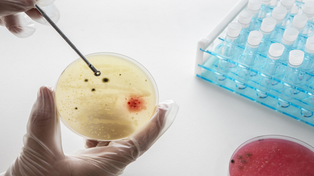 New Indigenous Antibody Discovery Platform to Transform D...