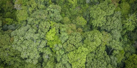 National Biodiversity Authority shares Rs 17 lakh benefit with BMC