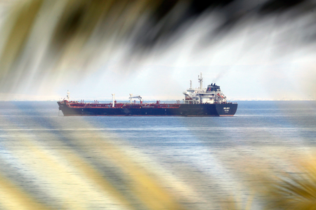 Hormuz, Red Sea disruptions may impact profitability of Indian exporters and importers: Report