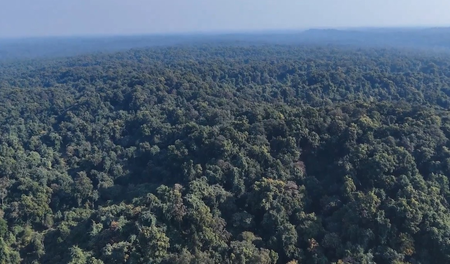 India charts ambitious green pathway: Conservation drives climate action