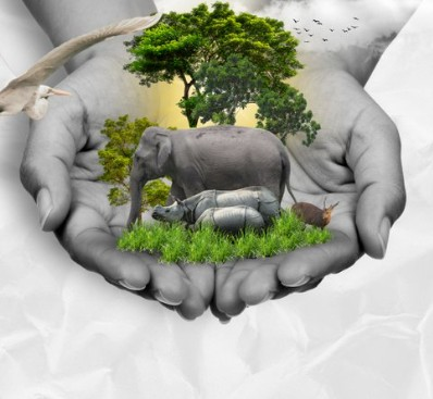 Resolute in our efforts to free forests from encroachment, build zero