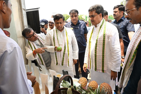tagged queen pineapple taking state to global stage: Tripura CM
