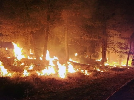 Three US wildland firefighters killed near Colorado