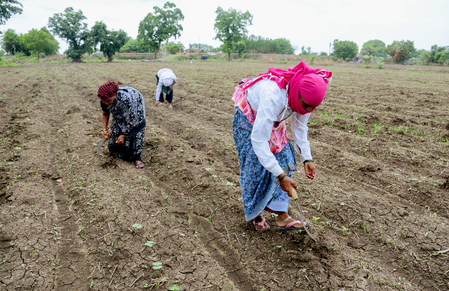 PMO reviews El Nino impact, urges ministries to work with states on preparedness measures