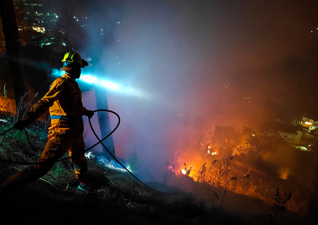 art research facility that aims to minimise forest fires opened in Himachal