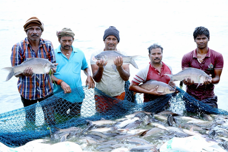 largest fish producer, contributes 8 pc to global output