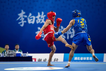 Asian Games: Aryan, Roshibina Devi march into quarterfinals after Wushu wins