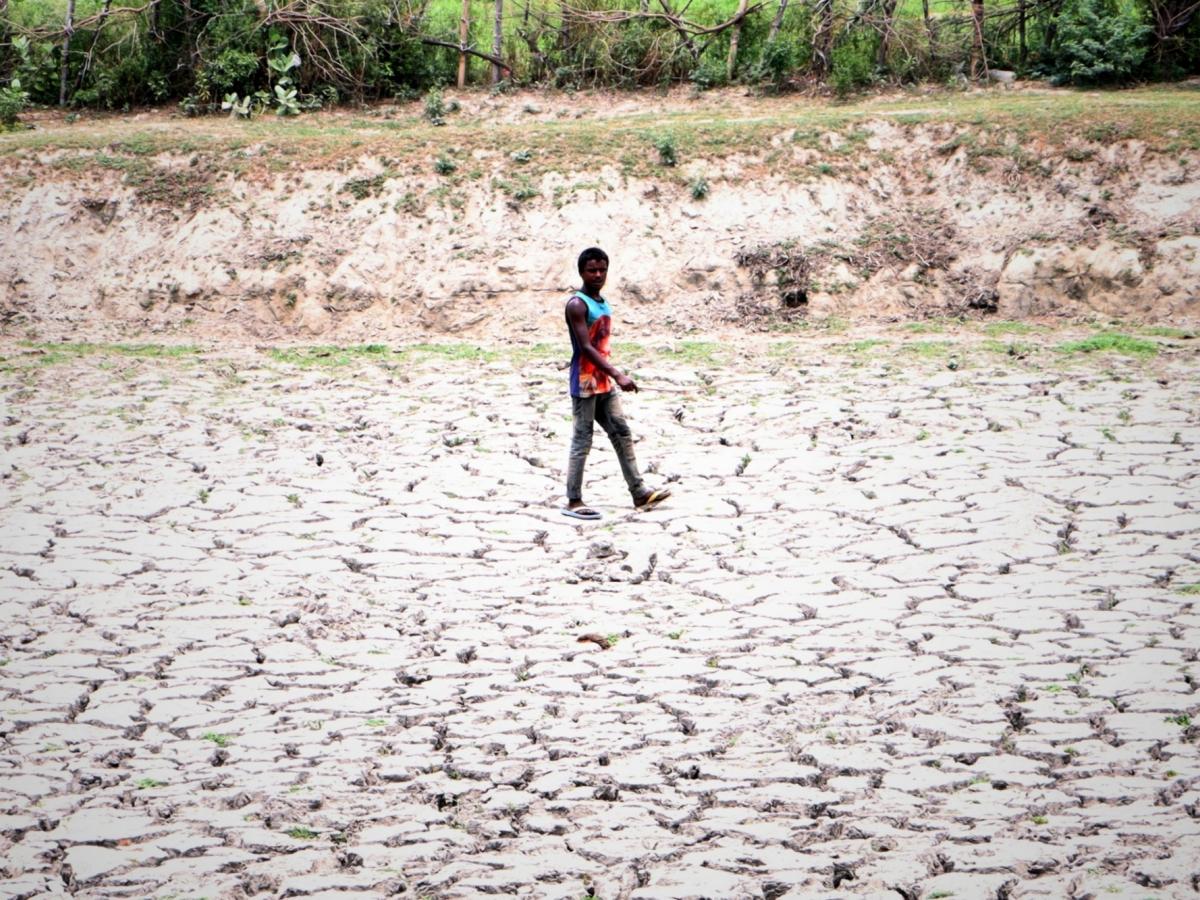 TN govt declares six districts as drought affected - www.lokmattimes.com