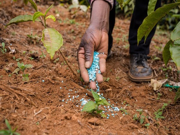 Government Boosts Allocation for Fertilizer Sector in National Green Hydrogen Mission