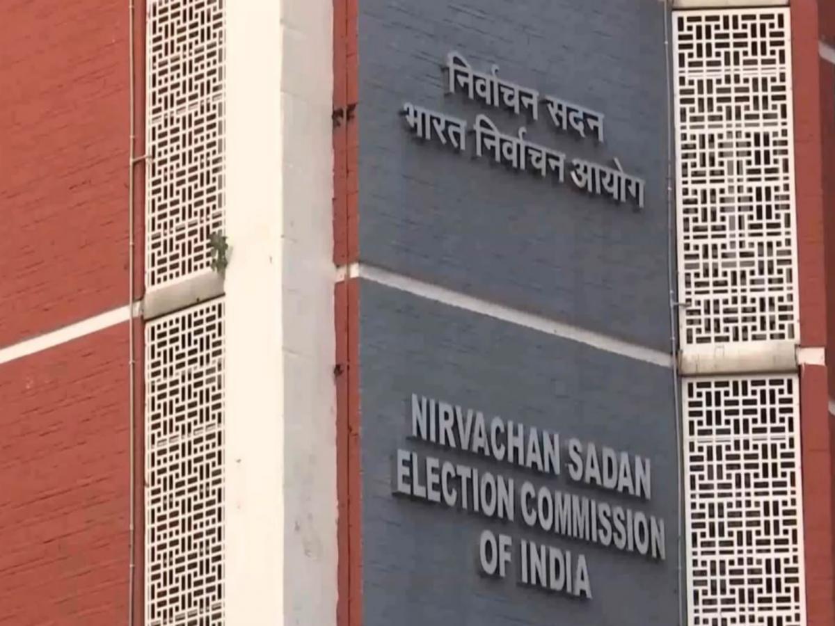 Goa CEO releases status report on 97 left-out voter cases; 88 Form 6 ...