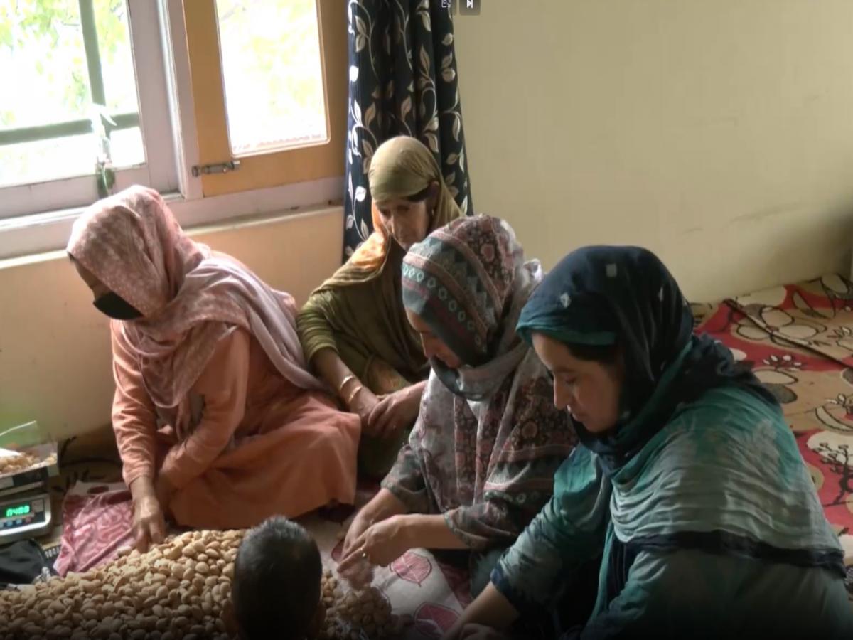 Budgam women turn traditional skills into livelihoods through Self-Help ...