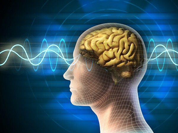 Brain function of event trauma-exposed individuals restores over time ...